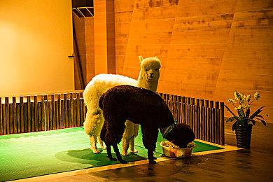 《如龙：极3＆外传》开发者访谈 新引擎带来的冲绳主角新故事